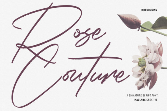 Beautiful Script Font for Web Design
