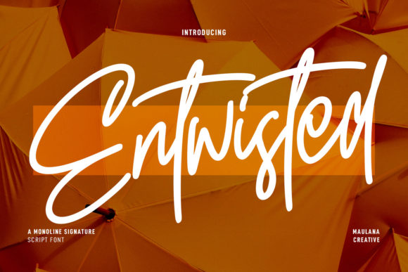 Entwisted: A Script Font for Real Design Work