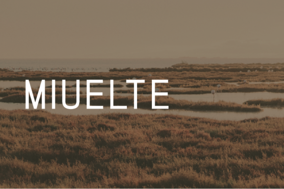 Modern Typography with Miuelte