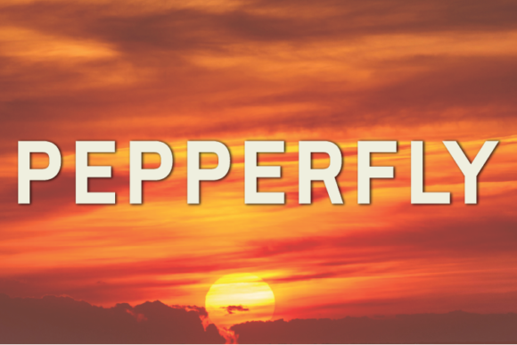 Pepperfly: A Font That Elevates Branding