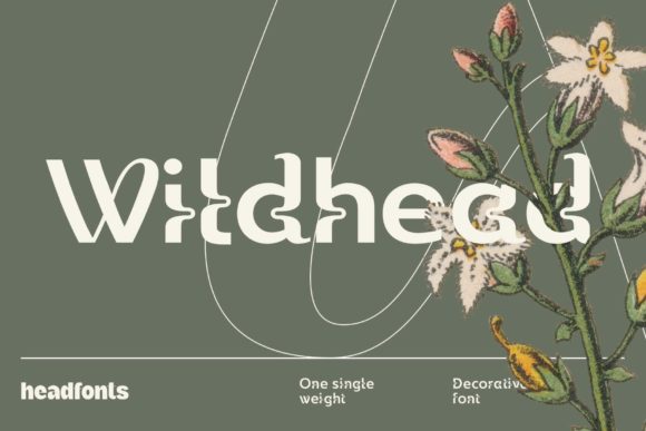 Wildhead: A Bold Display Font for Web Design